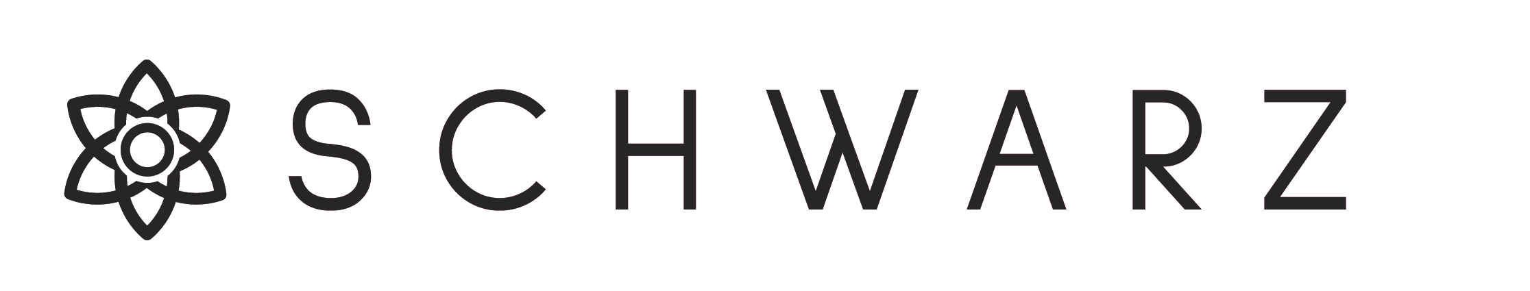 Schwarz | Venture Development & Systems Architecture